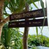 Goa Honeymoon Getaway