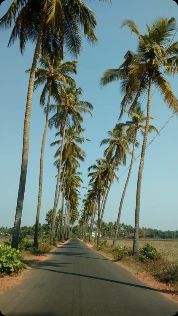 Goa Honeymoon Getaway